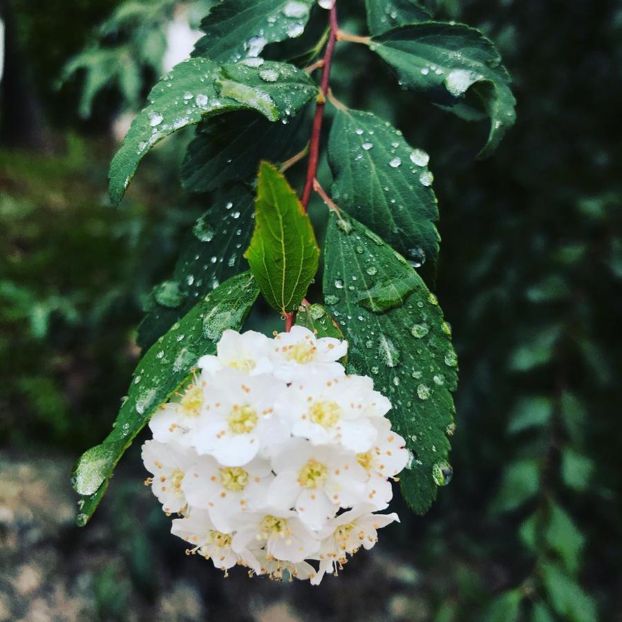 Casal Da Batoca Nature House ファフェ エクステリア 写真